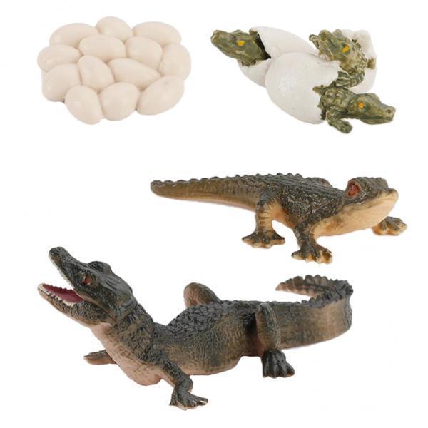 Nature Life Cycle Animal Growt - огляд і ціна Kids Toys Cycle