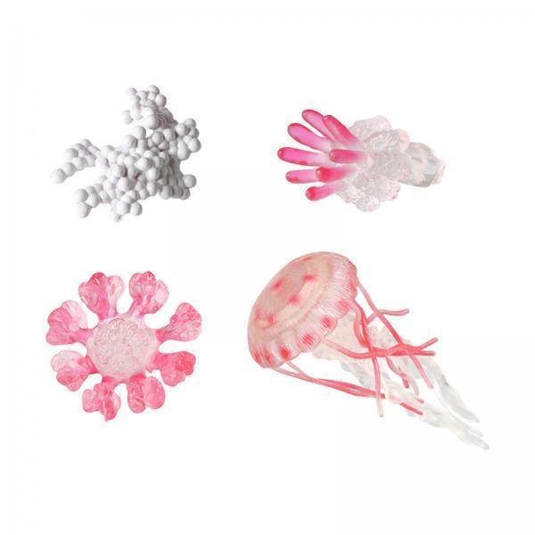 Jellyfish Growth Cycle Model A - огляд і ціна Kids Toys Cycle