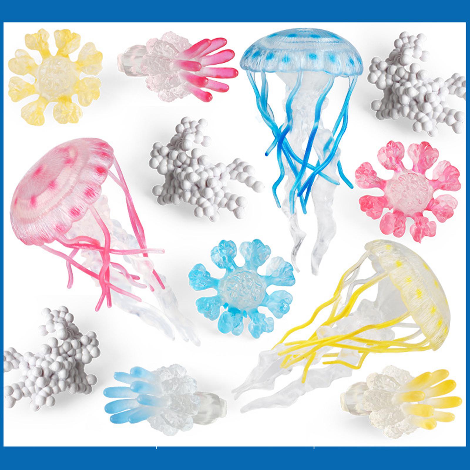 Jellyfish Growth Cycle Model A - огляд і ціна Kids Toys Cycle