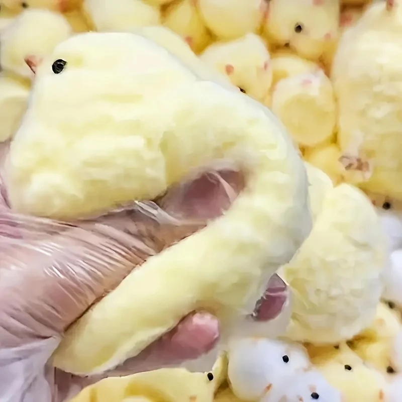 1Pc Yellow Chick Squishy Squee - огляд і ціна Kids Toys Yellow